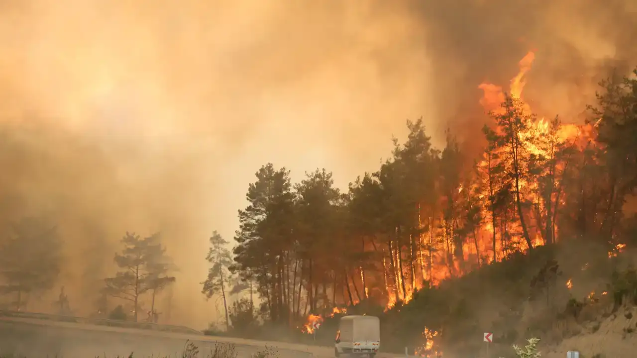 Antalya’nın Ormanları Tehdit Altında, Yangınlar Artıyor 5